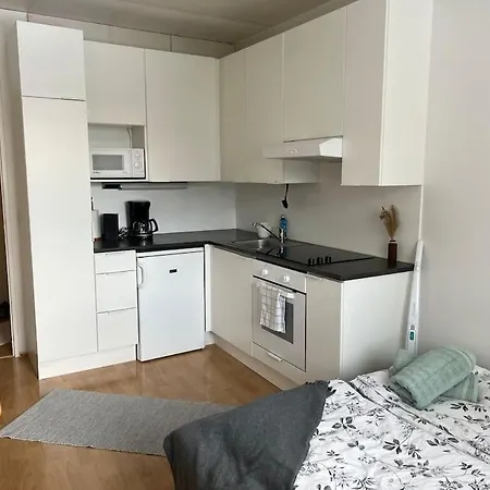 Apartamento Mini Mariankatu